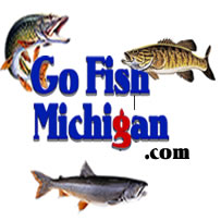 Read more about the article Michigan Fishing Report – 1.7.21