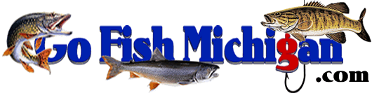 GoFishMichigan - Fishing Info Net