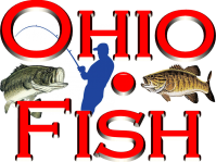 Ohio.Fish - Welcome to FIN!